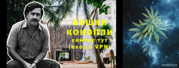 дживик Вязьма