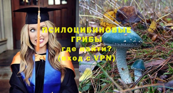 mix Вяземский