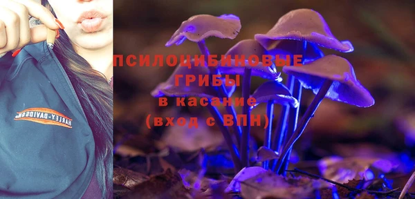 mix Вяземский